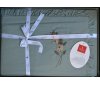 Постельное белье с вышивкой Turkiz - Valentino Green (Turkey), евро комплект